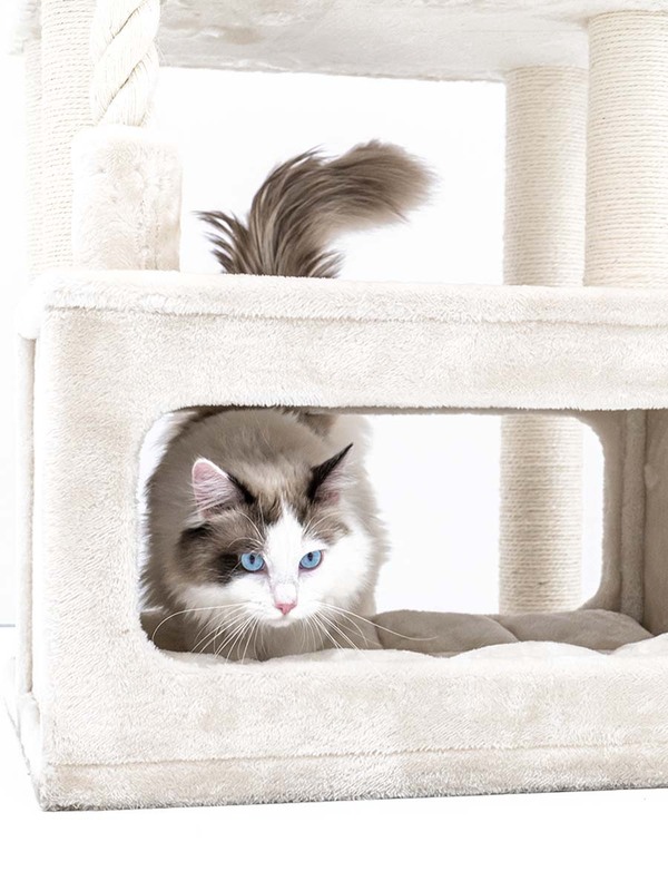 Lodge 107 cream PETREBELS