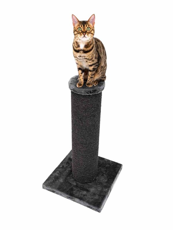 Savannah 86 Petrebels kassi kraapimispuu