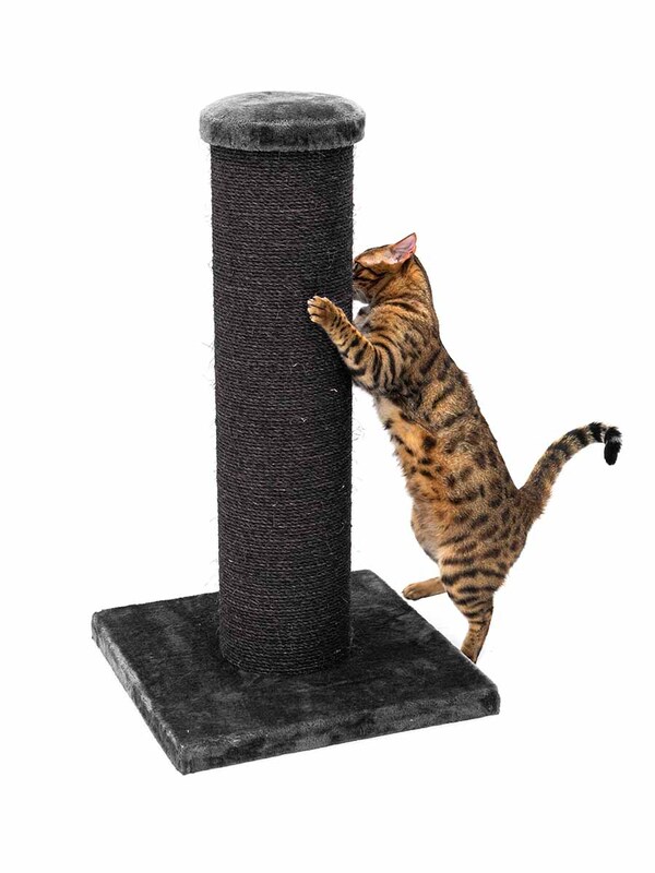 Savannah 86 Petrebels kassi kraapimispuu