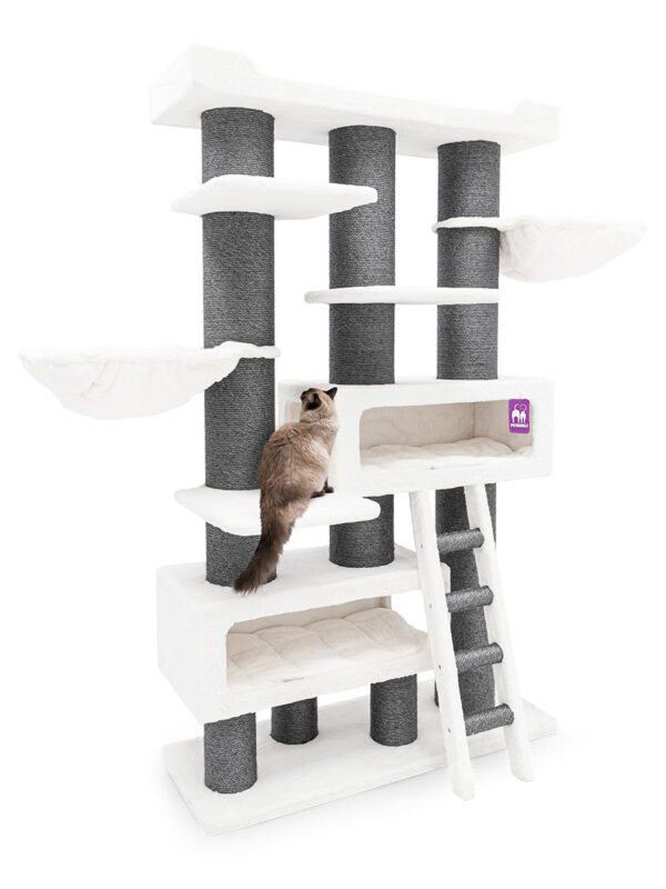 PETREBELS Kraapimispuu Siberian 200, antratsiit