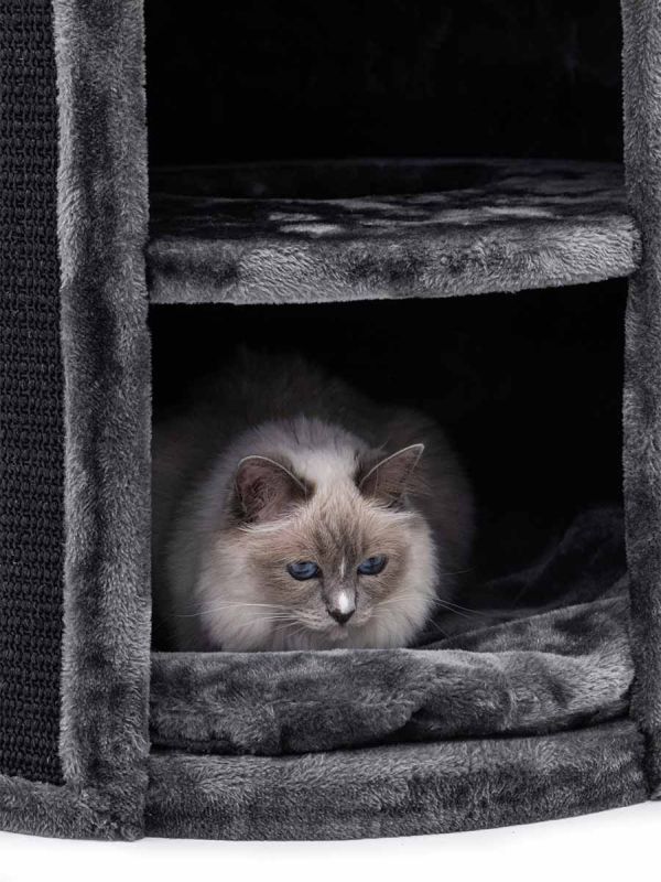 Superdome 120 must kasside kraapimistuub