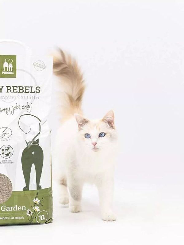 dirty rebels kassiliiv fresh garden