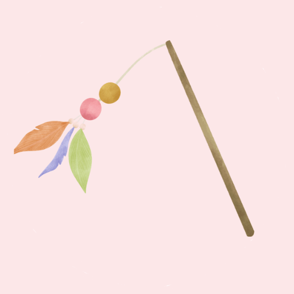 Kassi mänguasjad kategooria