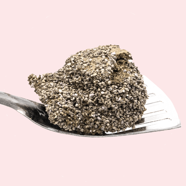 Kassiliiv kategooria fotod