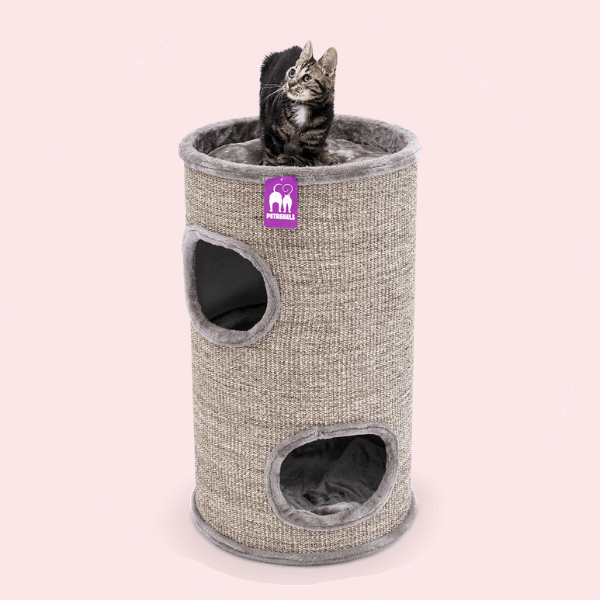 Kraapimistornid kategooria