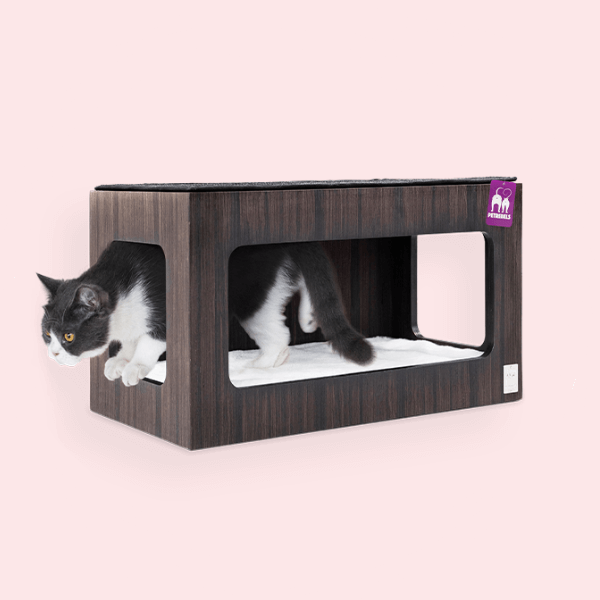 Seinariiulid kassidele kategooria