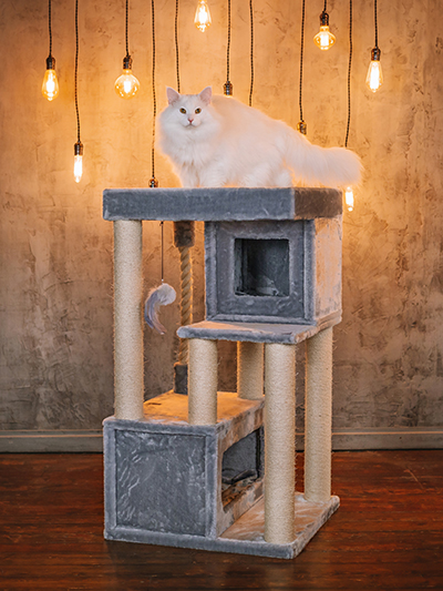 bestseller kassi kraapimispuu