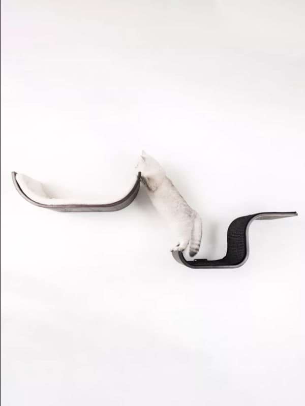 Kassi riiul Curve 70 PETREBELS, wenge