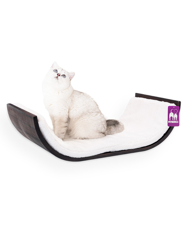 Kassi riiul Curve 70 PETREBELS, wenge