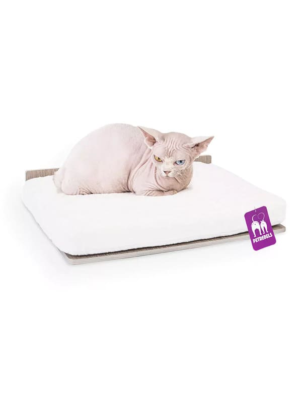 Kassi riiul Relax 50 PETREBELS