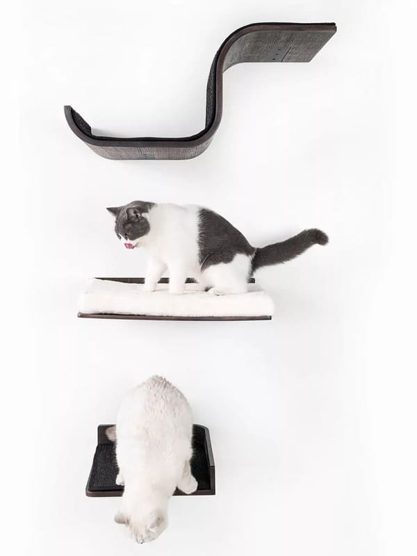 Kassi riiul Relax 50 PETREBELS