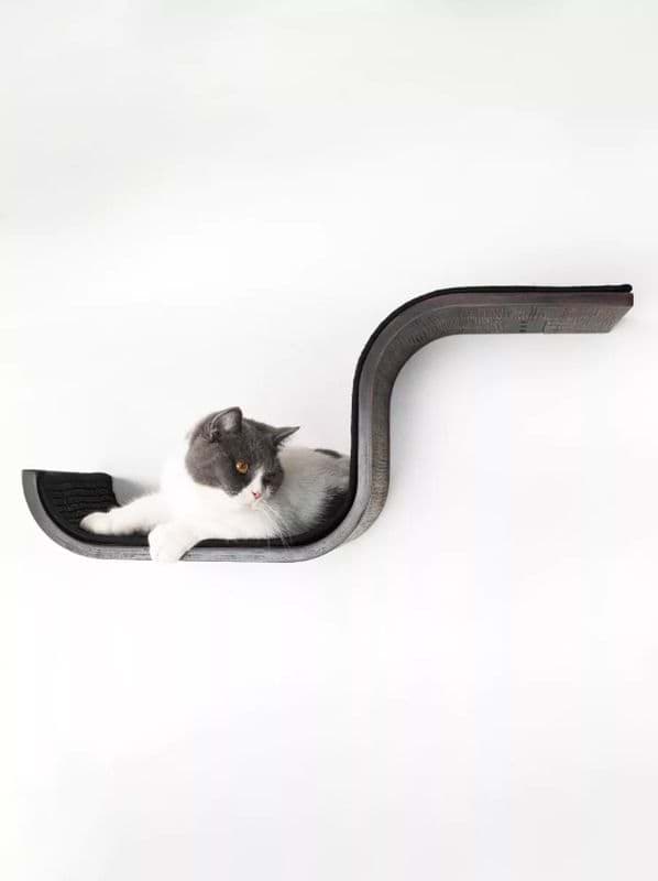 Kassi riiul Scratch 70 PETREBELS, wenge