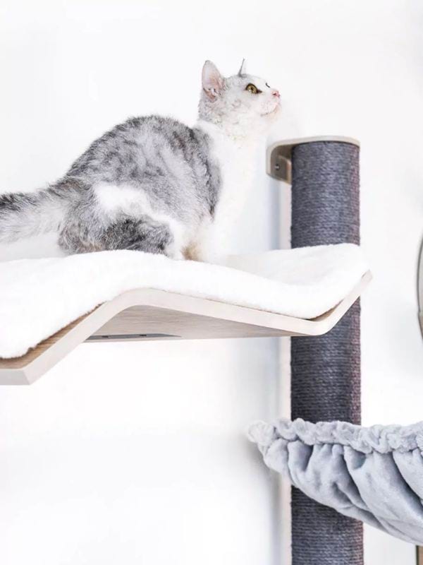 Kassi riiul Wave 70 PETREBELS, old gray