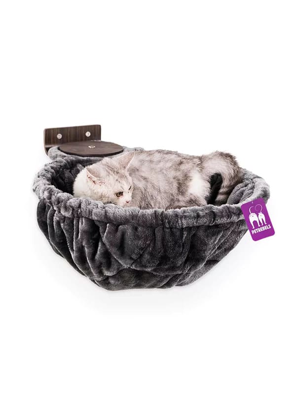 Kassi pesa seinale 1548, ümar,