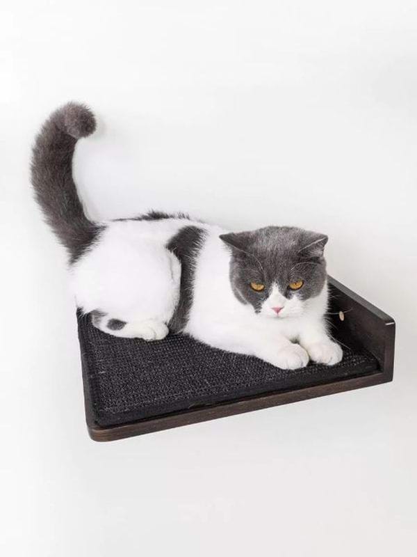 Kassi riiul Corner lounge 35 PETREBELS, wenge