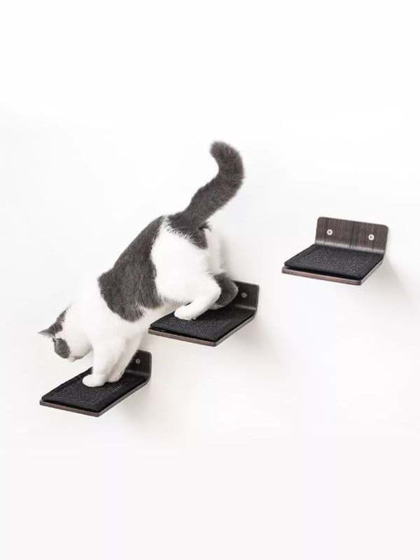 Kassi riiul, asted 3 tk, Step 25 set, wenge