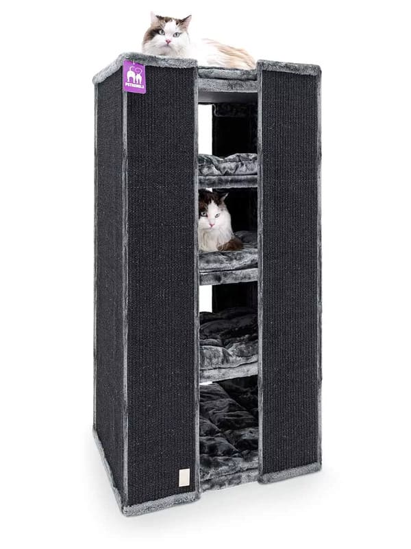 Kraapimistorn Pillar 117 Petrebels