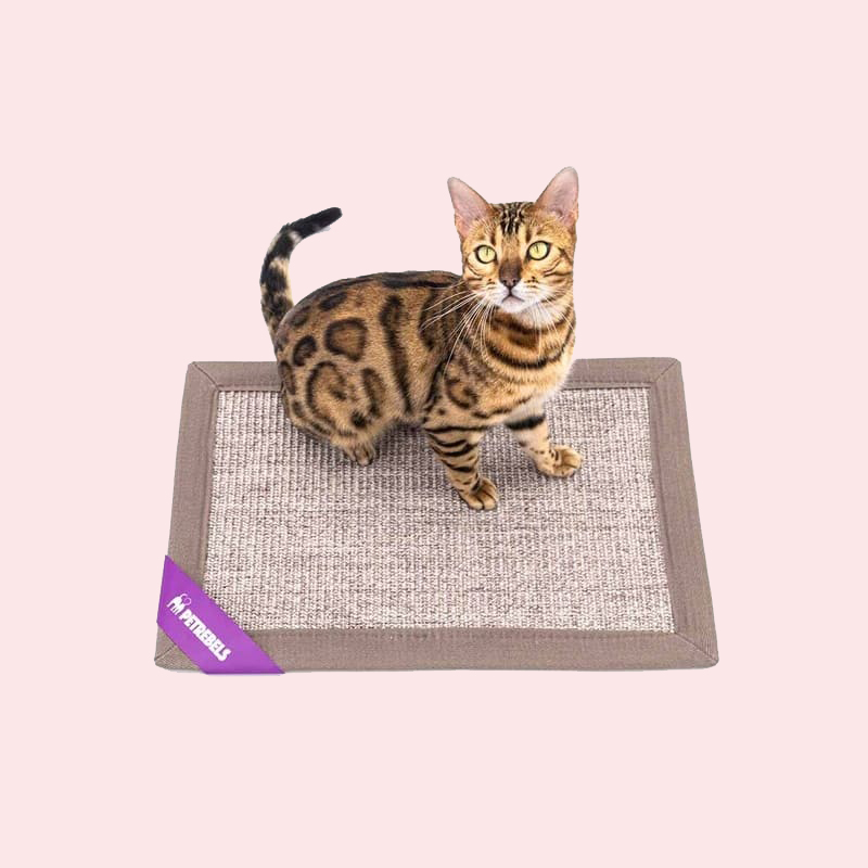 Kraapimismatid kassidele