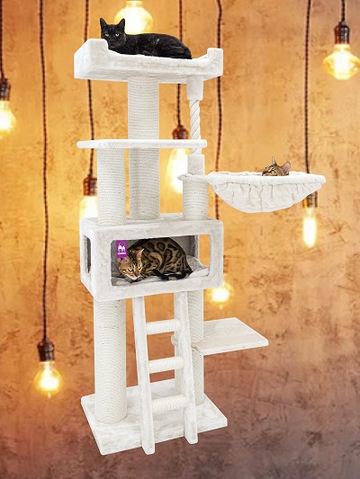 Parklane 175 petrebels 