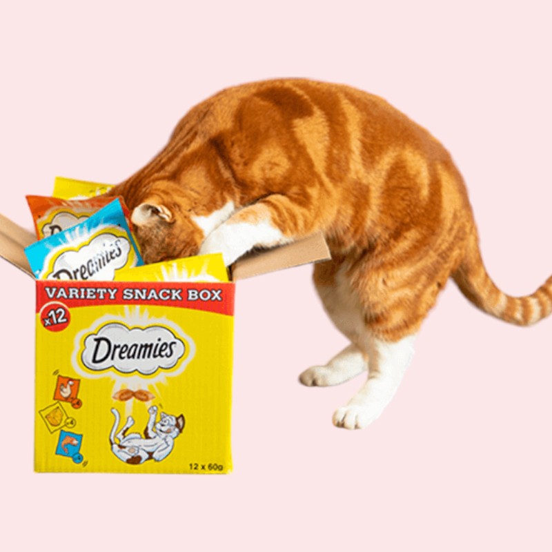 Maiused - rõõmusta oma kassi