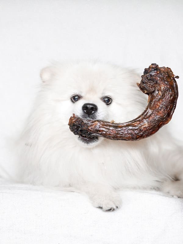 Naturaalne maius Sana, kalkuni kael, 1 tk