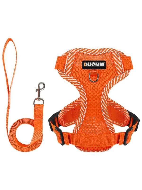 Kassi traksid + jalutusrihm, oranz S (1.5-3kg)