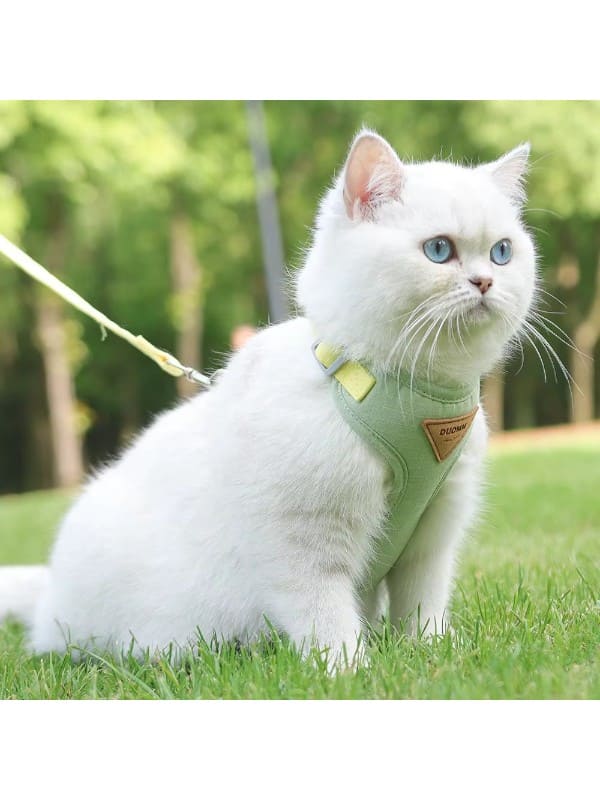 Kassi traksid + jalutusrihm, roheline/kollane S (3,5-6,5kg)