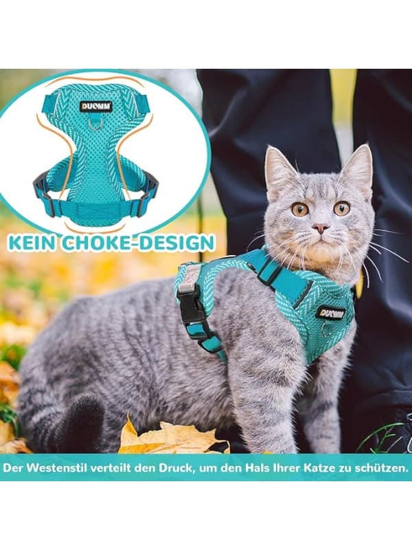 Traksid kassidele + jalutusrihm, türkiis S