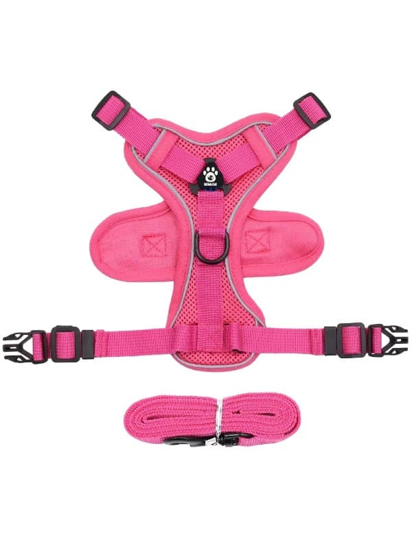 Kassi traksid + jalutusrihm, Rose S (1.5-3kg)