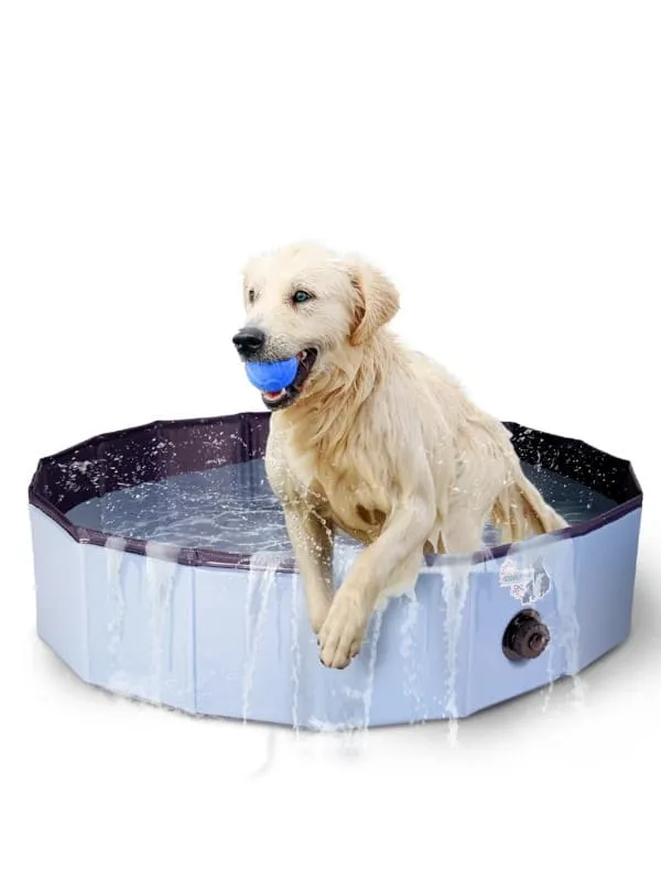 Koerte bassein Coolpets 80x20cm