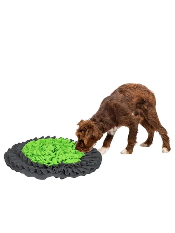 Nuuskimismatt koerale Eat Slow Live Longer 50cm