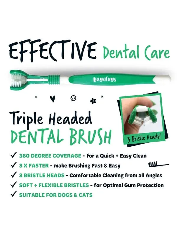 Bugalugs kolmekordse harjapeaga hambahari kassidele ja koertele