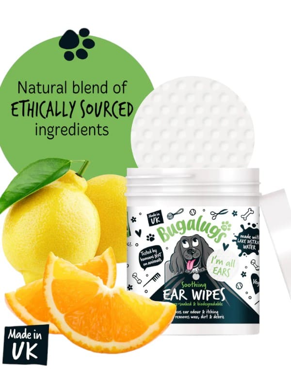 Bugalugs kõrvapuhastuslapid koertele 100tk