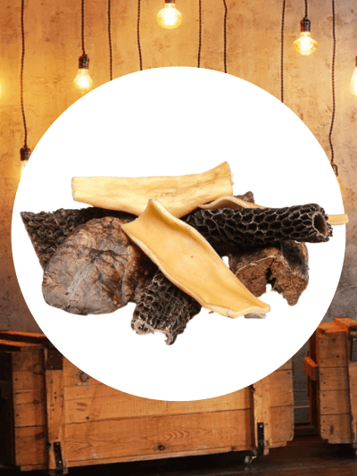 Bestseller Frigera Mix koertele