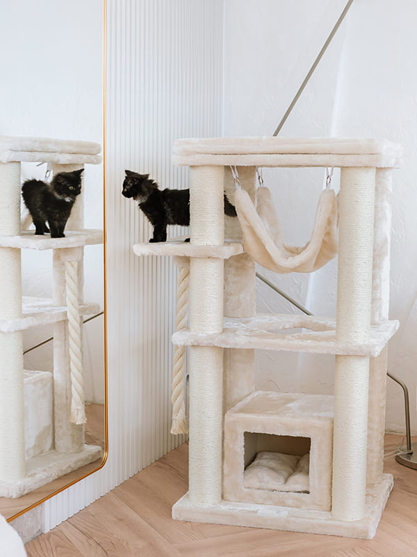 Ronimispuu MiuMjau 7047, 122cm