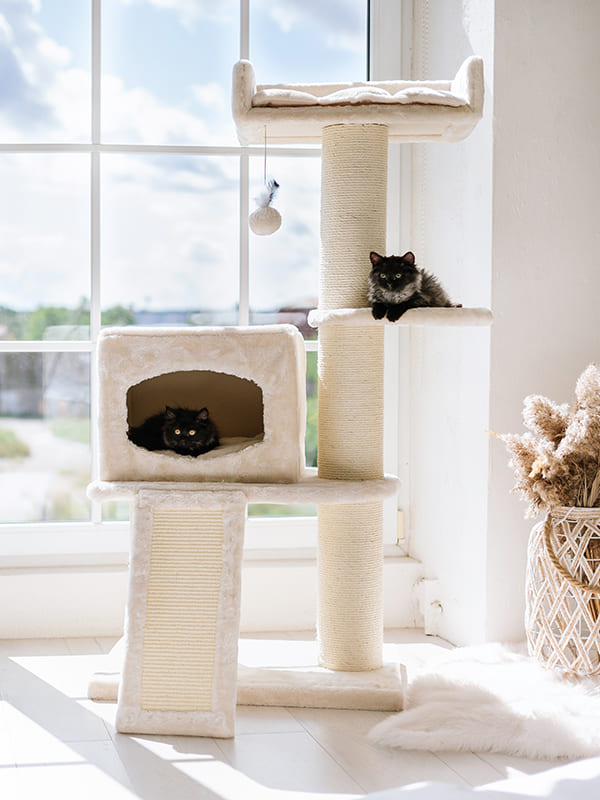 Ronimispuu MiuMjau 7071, 140cm