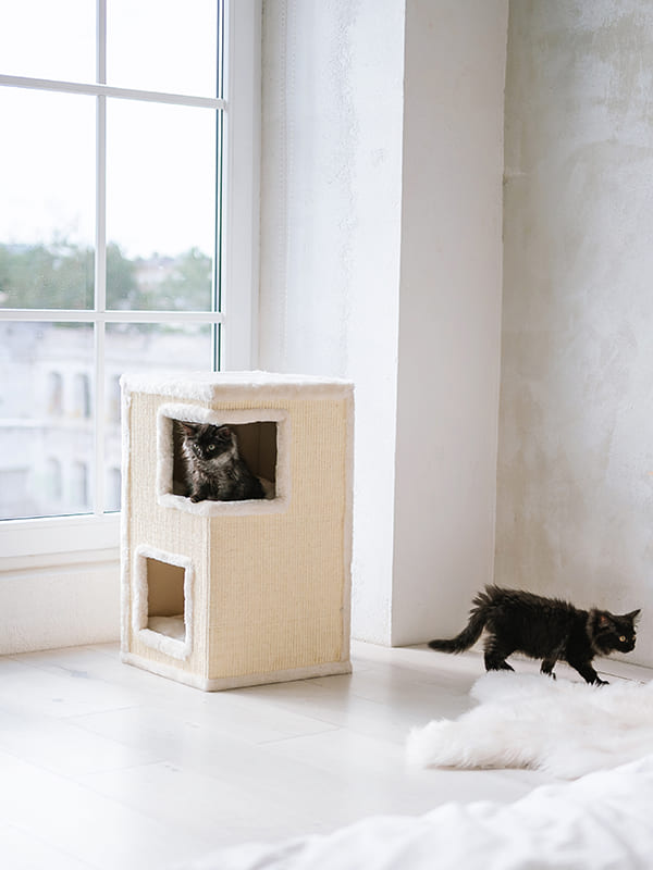 Ronimispuu, tuub MiuMjau 8507, 61cm