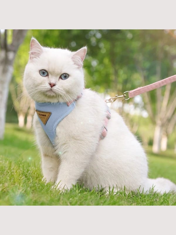 Kassi traksid ergonoomilised ja reguleeritavad