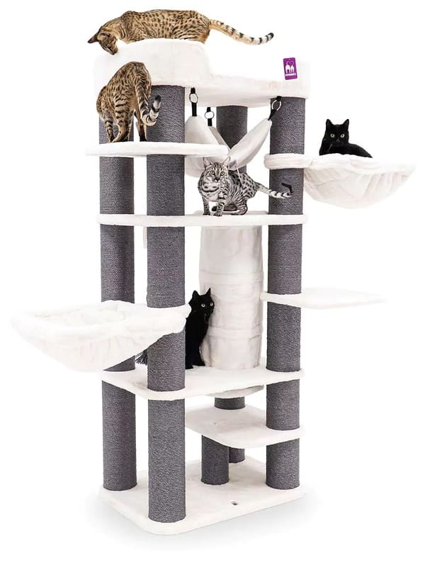 Ronimispuu Petrebels Panorama 185, off white, EELTELLIMISEGA