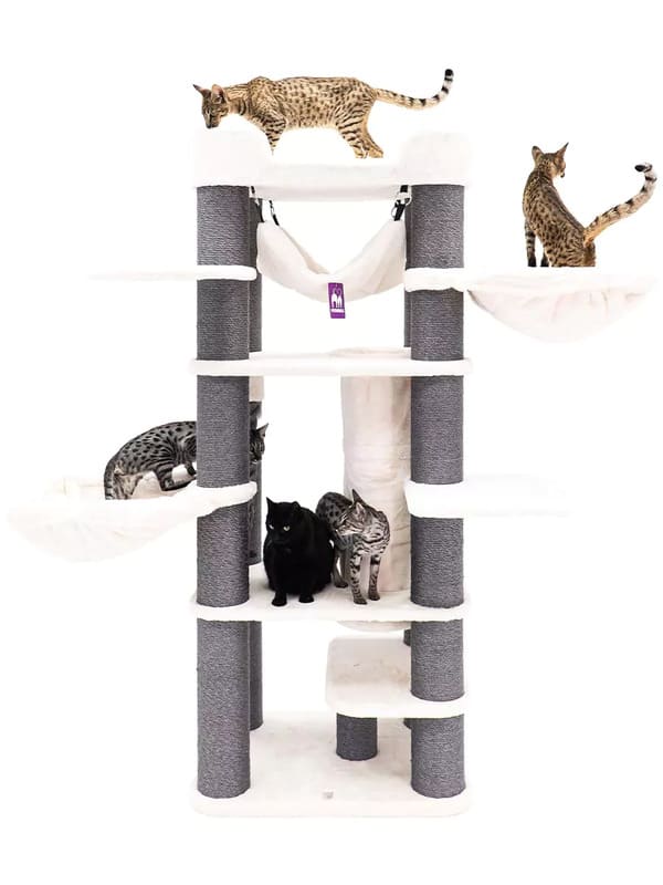 Ronimispuu Petrebels Panorama 185, off white, EELTELLIMISEGA