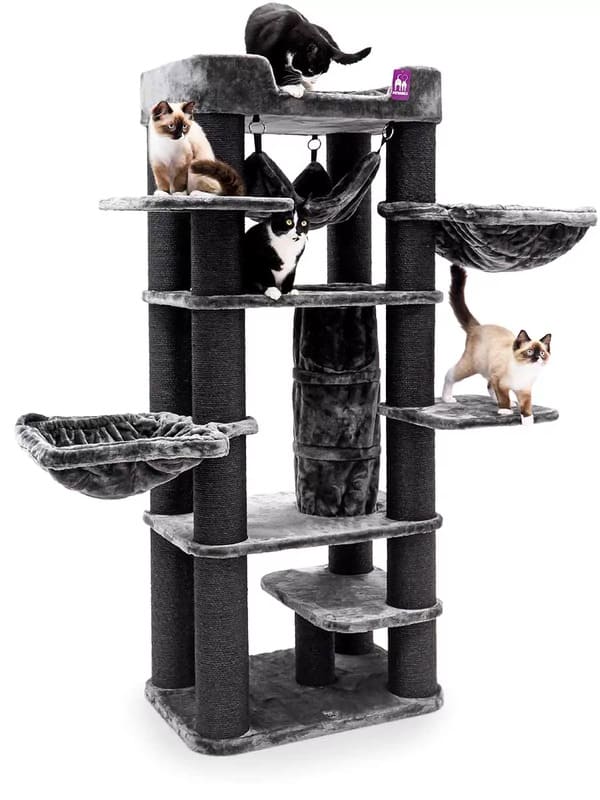 Ronimispuu Petrebels Panorama 185, pepper, EELTELLIMISEGA