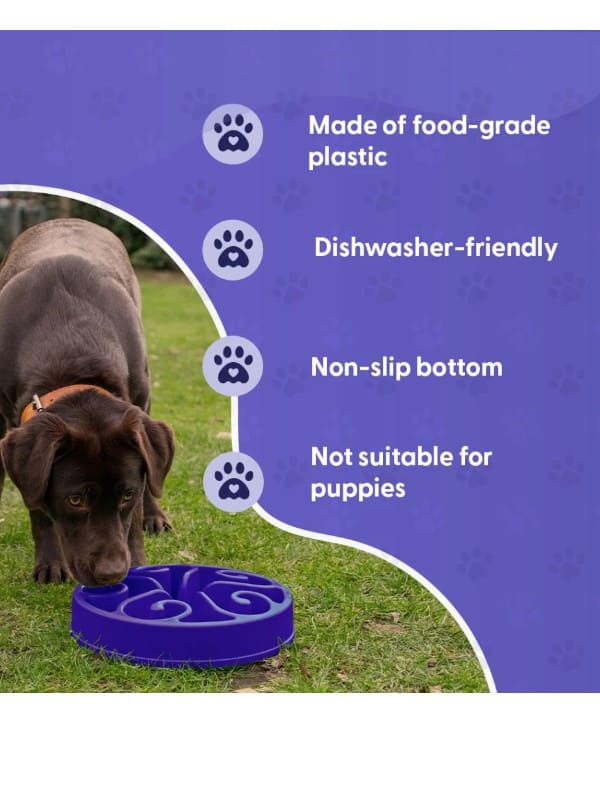 Eat slow live longer kauss, lilla S